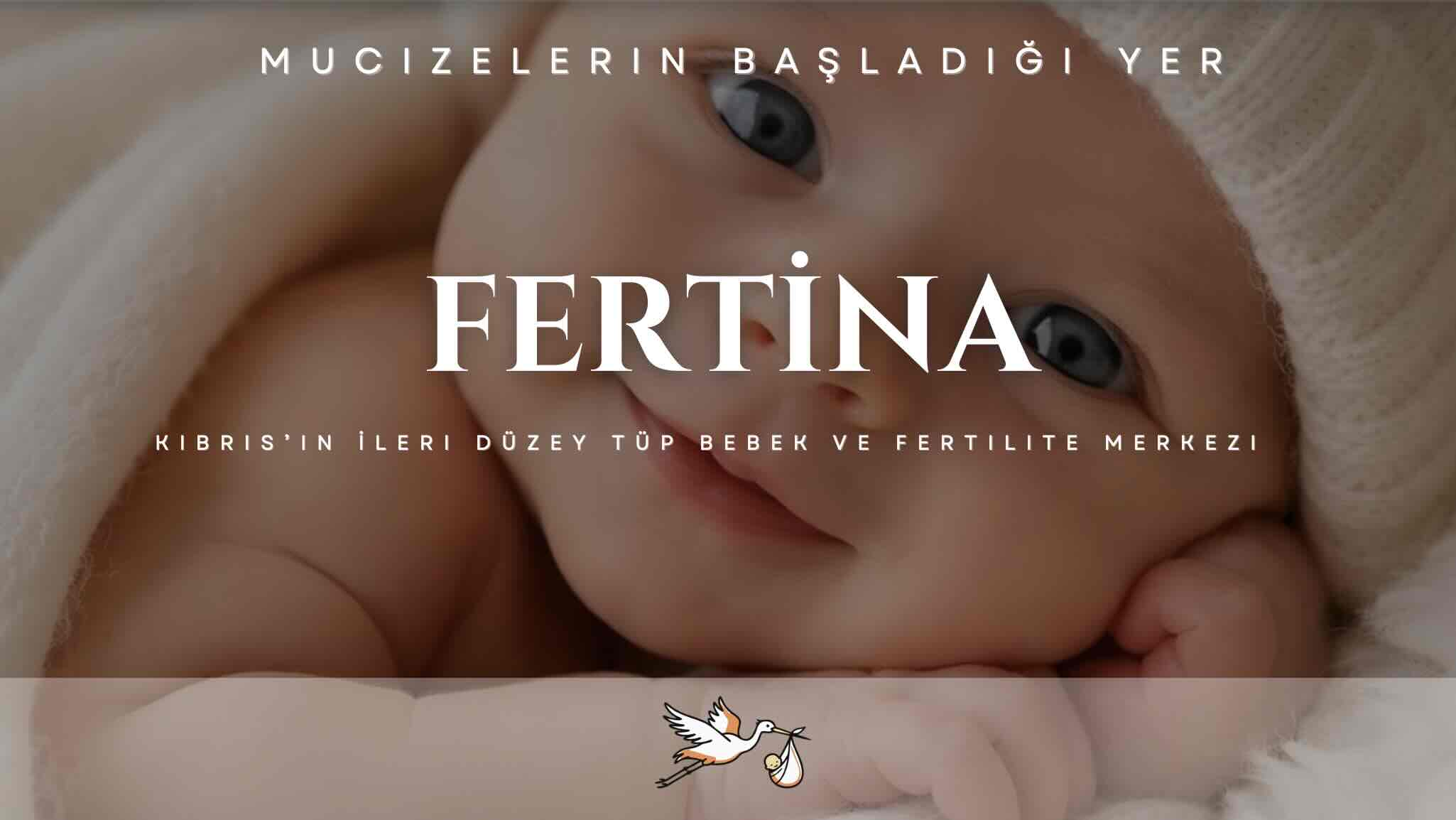 Fertina IVF Klinik Broşürü