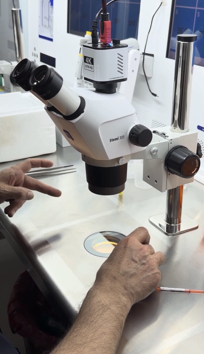 Fertina IVF laboratuvarında stereo mikroskop ile embriyo işlemi
