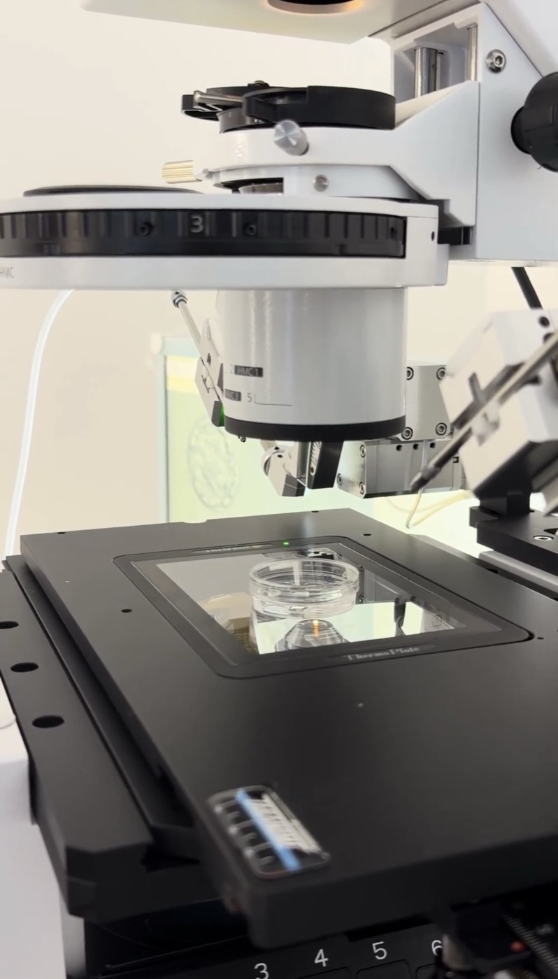 Mikromanipülasyon istasyonu — Fertina IVF embriyoloji laboratuvarı